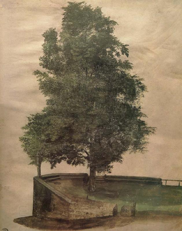 Albrecht Durer Linden Tree on a Bastion